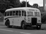 Leyland Tiger PS2/3 Burlingham 1949 года